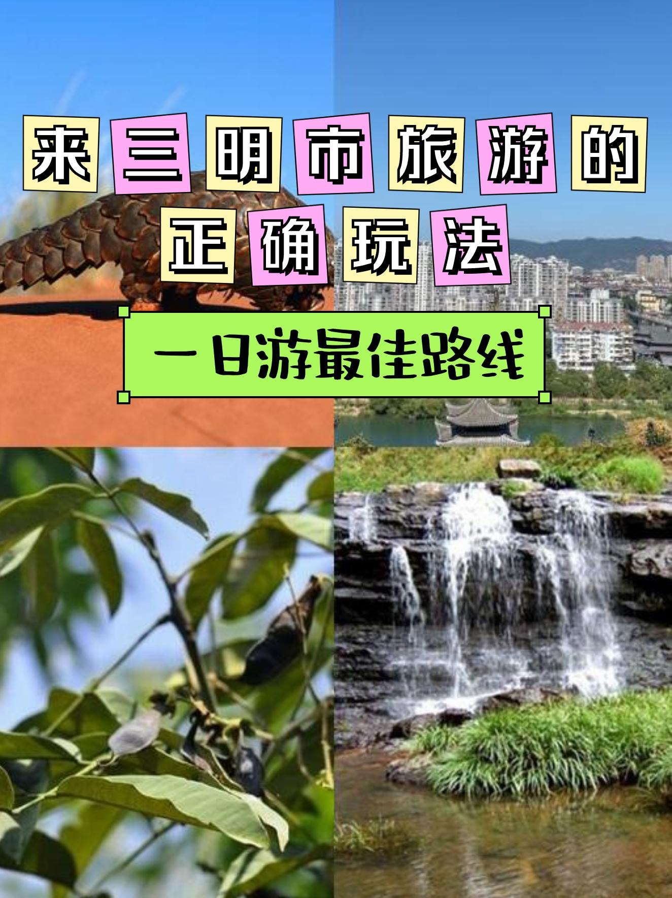 三明仙人谷国家森林公园,三明仙人谷国家森林公园美词美句