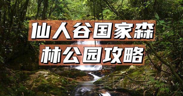 三明仙人谷国家森林公园,三明仙人谷国家森林公园美词美句