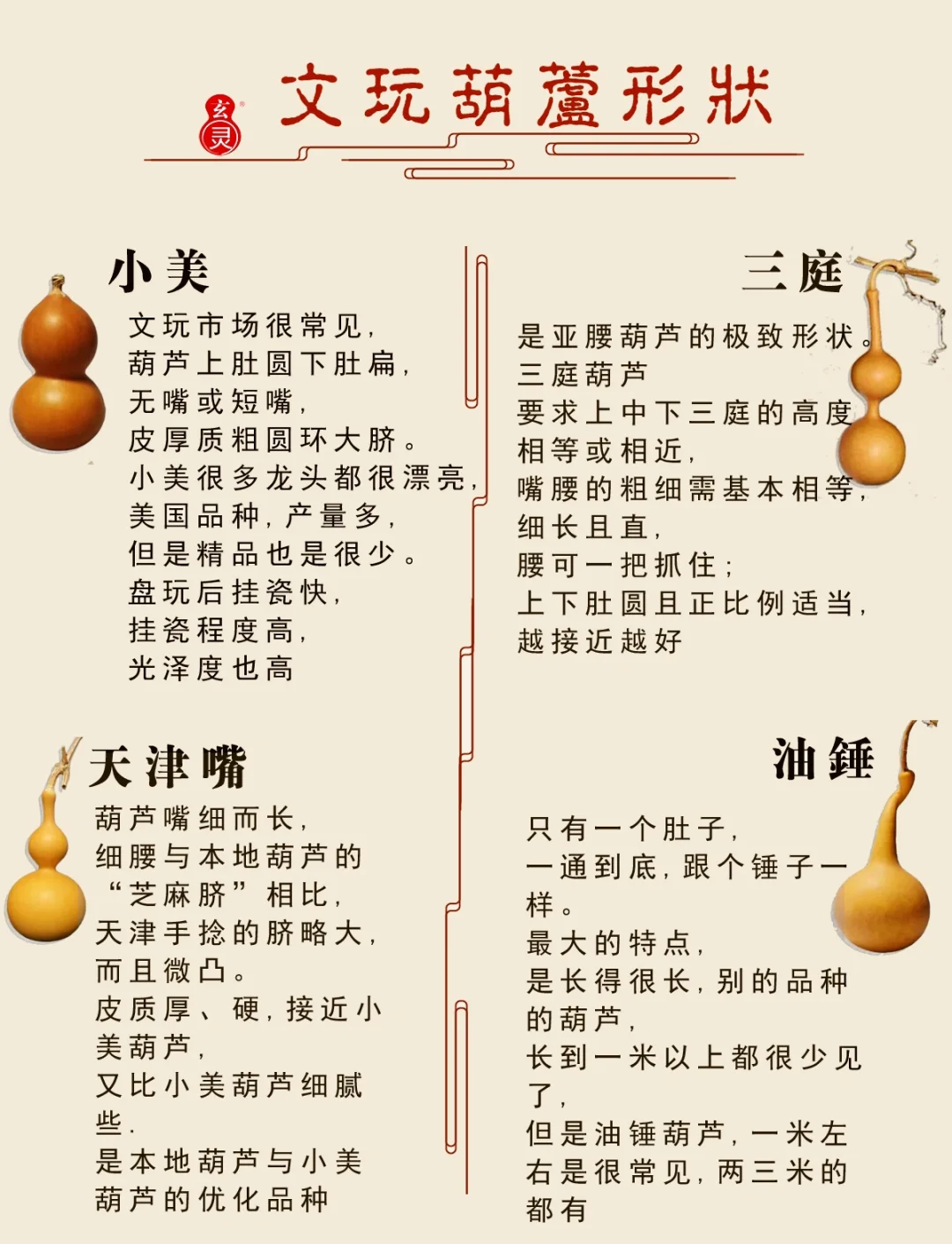 文玩葫芦什么时候采摘,文玩葫芦什么时候可以上手盘玩