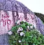 岂可修夺目是什么意思,岂可修在文言文中的意思