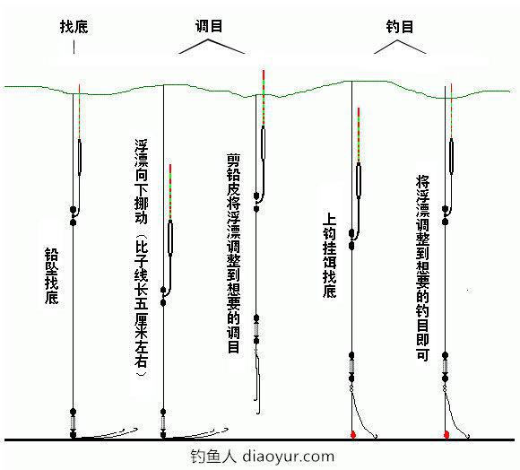 钓鱼初学者入门教程,钓鱼入门新手学钓鱼钓鱼技巧