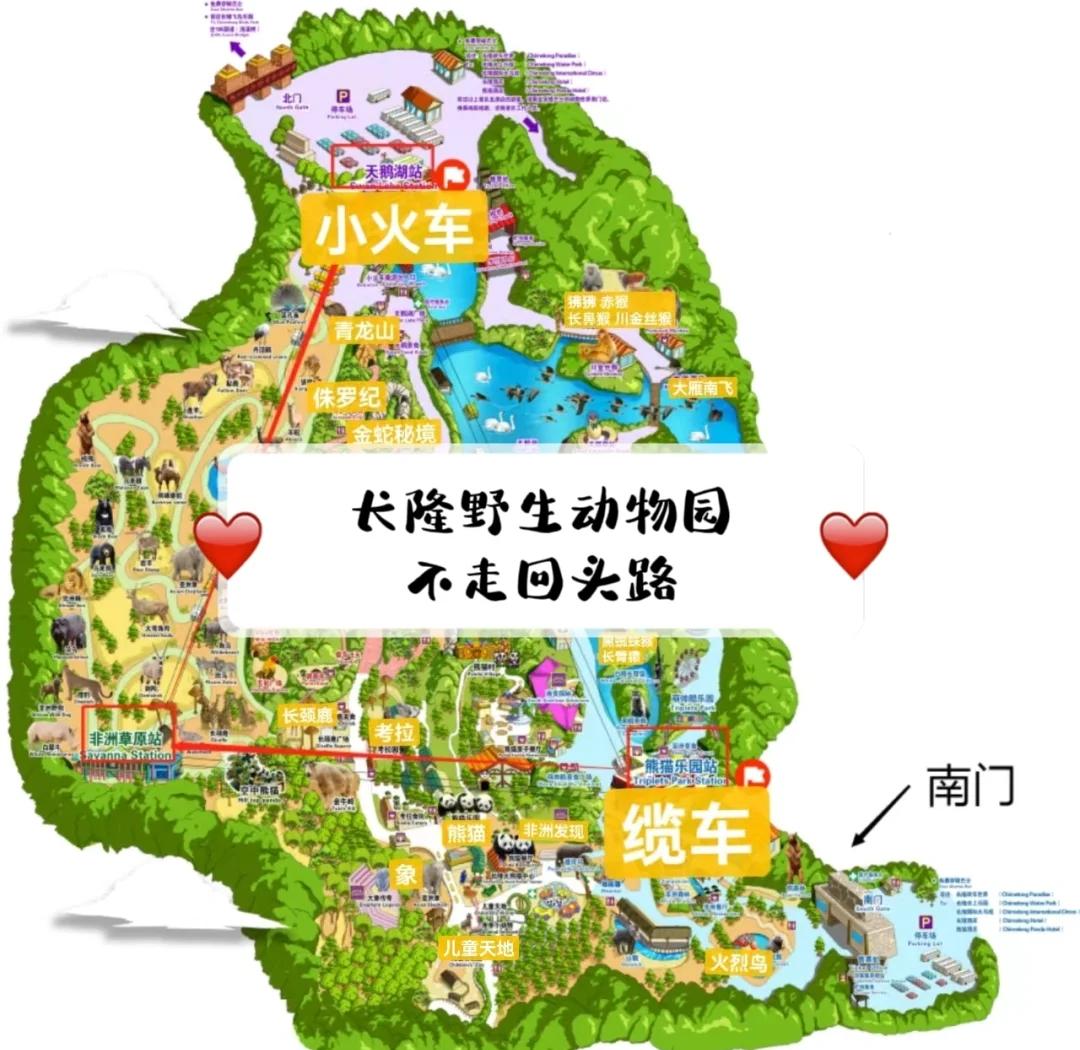 长隆野生动物园攻略,重庆到广州长隆野生动物园攻略