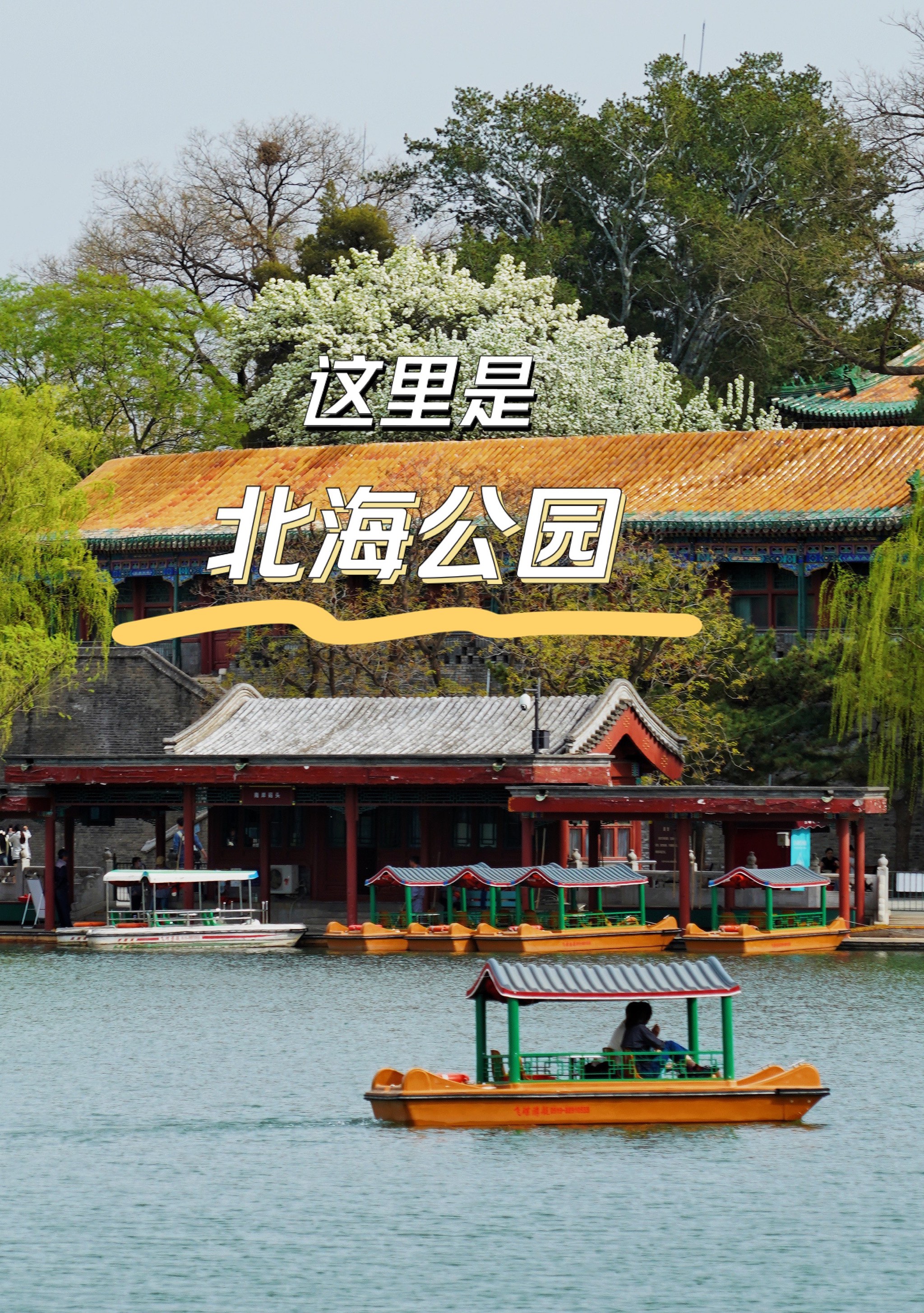 北海公园有什么好玩的,北海公园有什么好玩的?