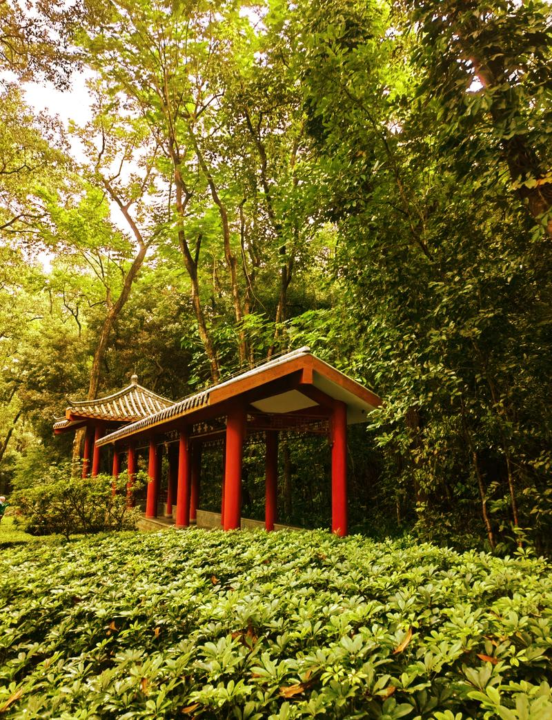 深圳笔架山公园,深圳笔架山公园花展