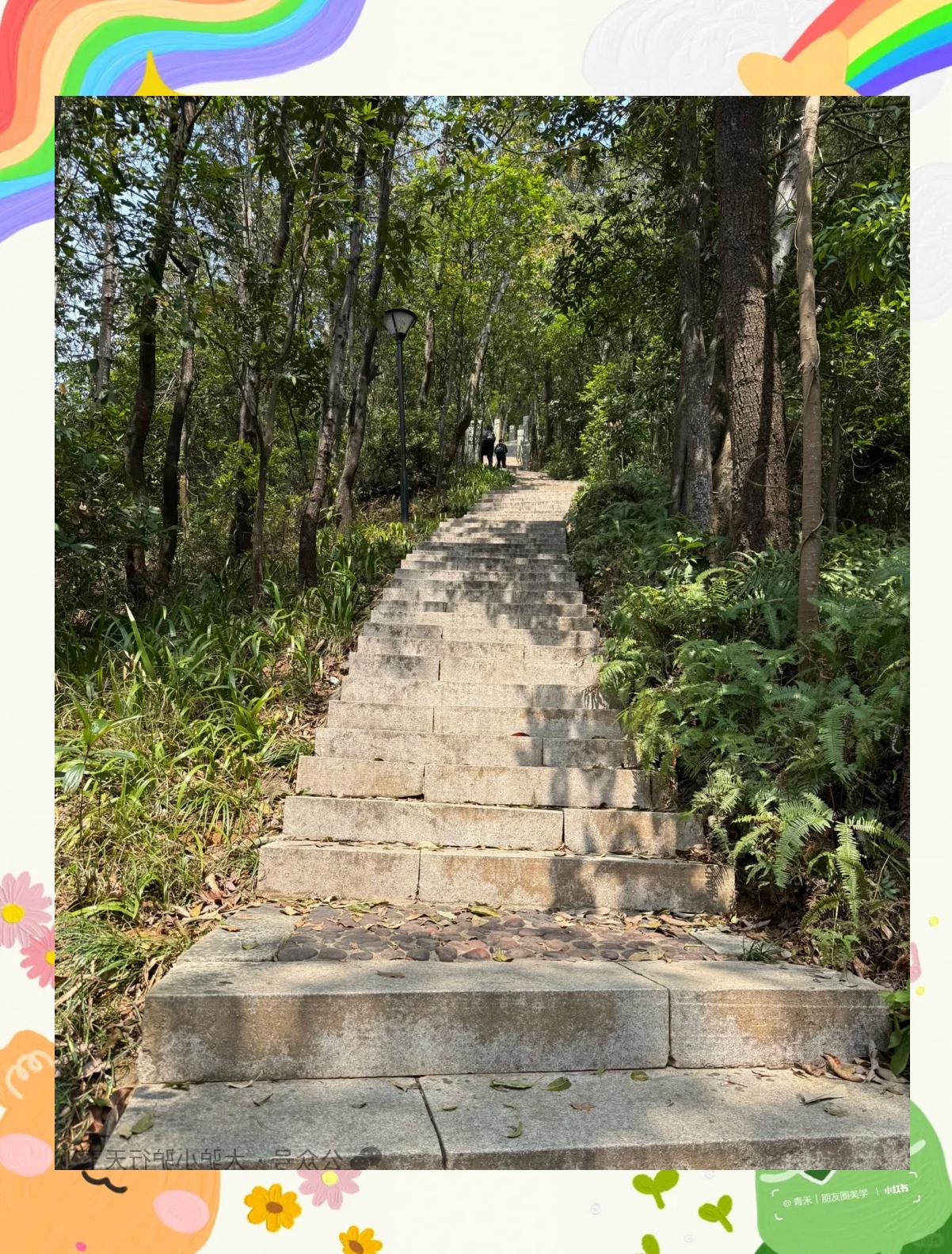 深圳笔架山公园,深圳笔架山公园花展