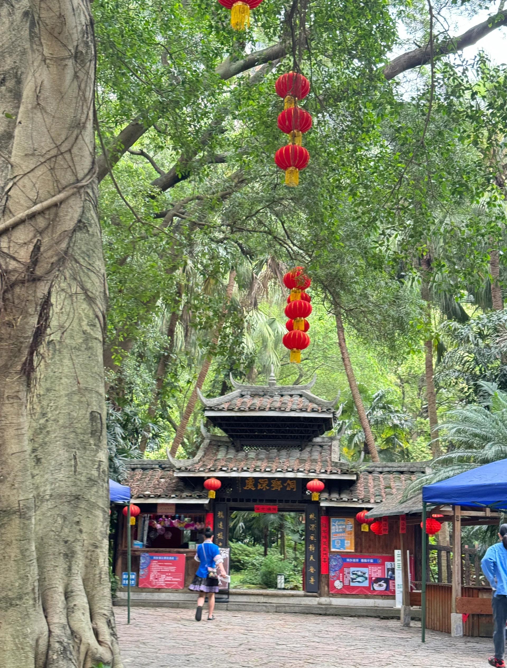 广州龙潭果树公园,广州龙潭菜市场在哪里