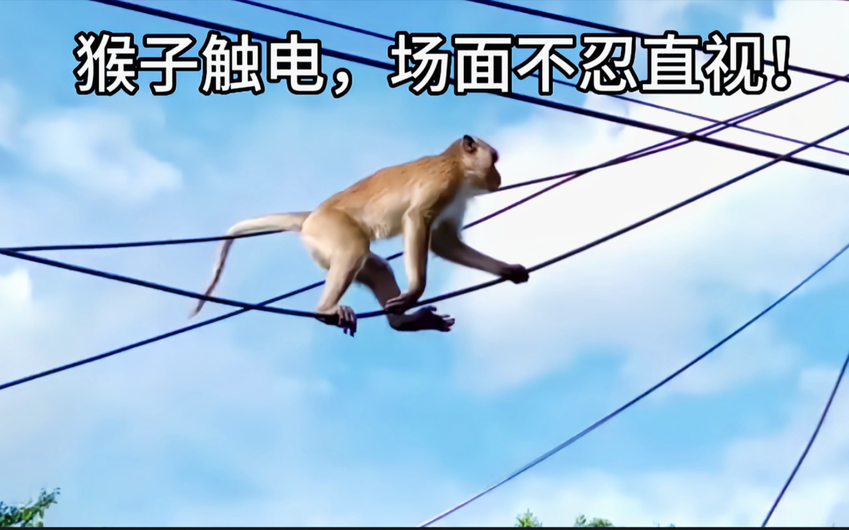 不忍直视,不忍直视表情包