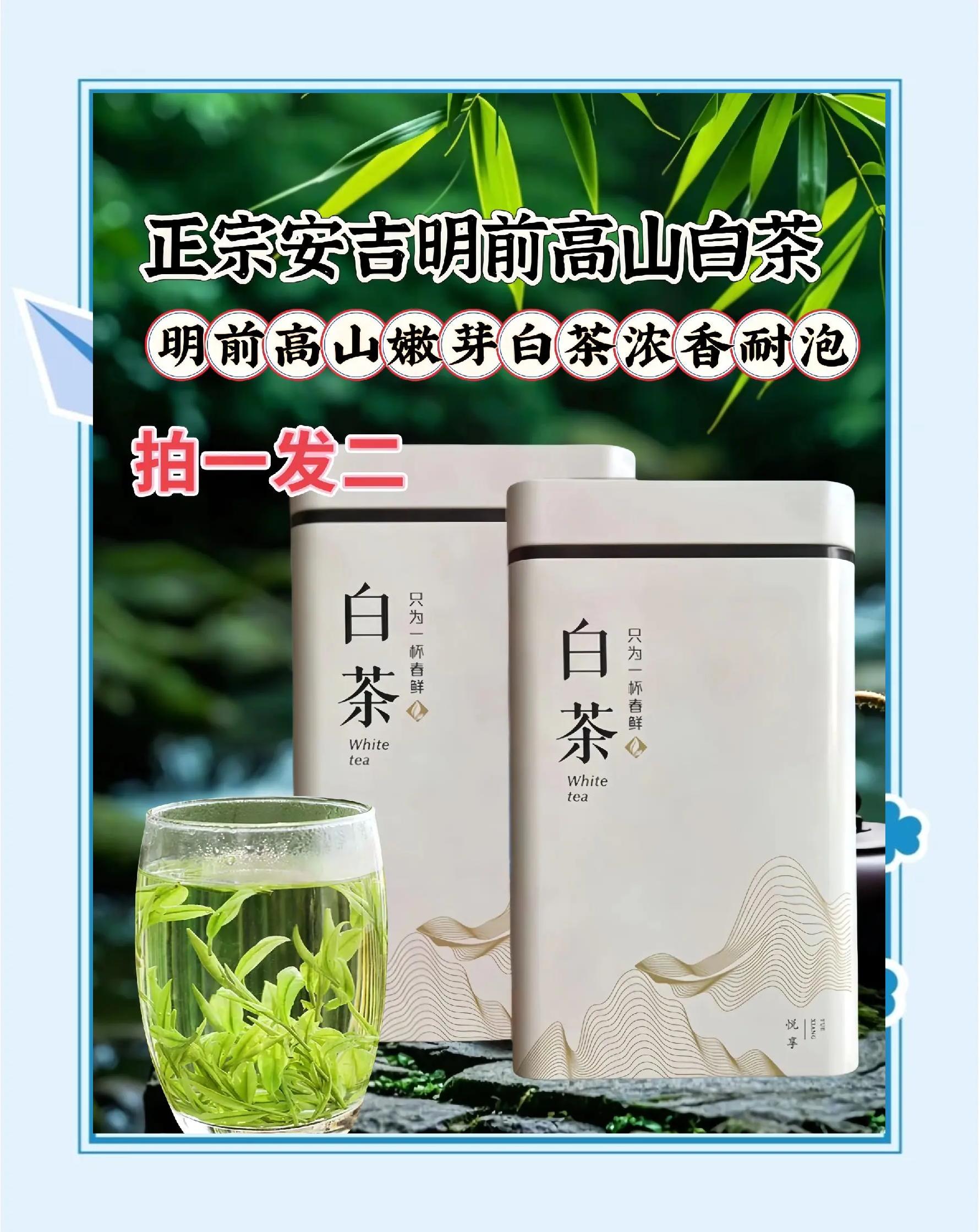 安吉白茶产地,湖州白茶好还是安吉白茶好