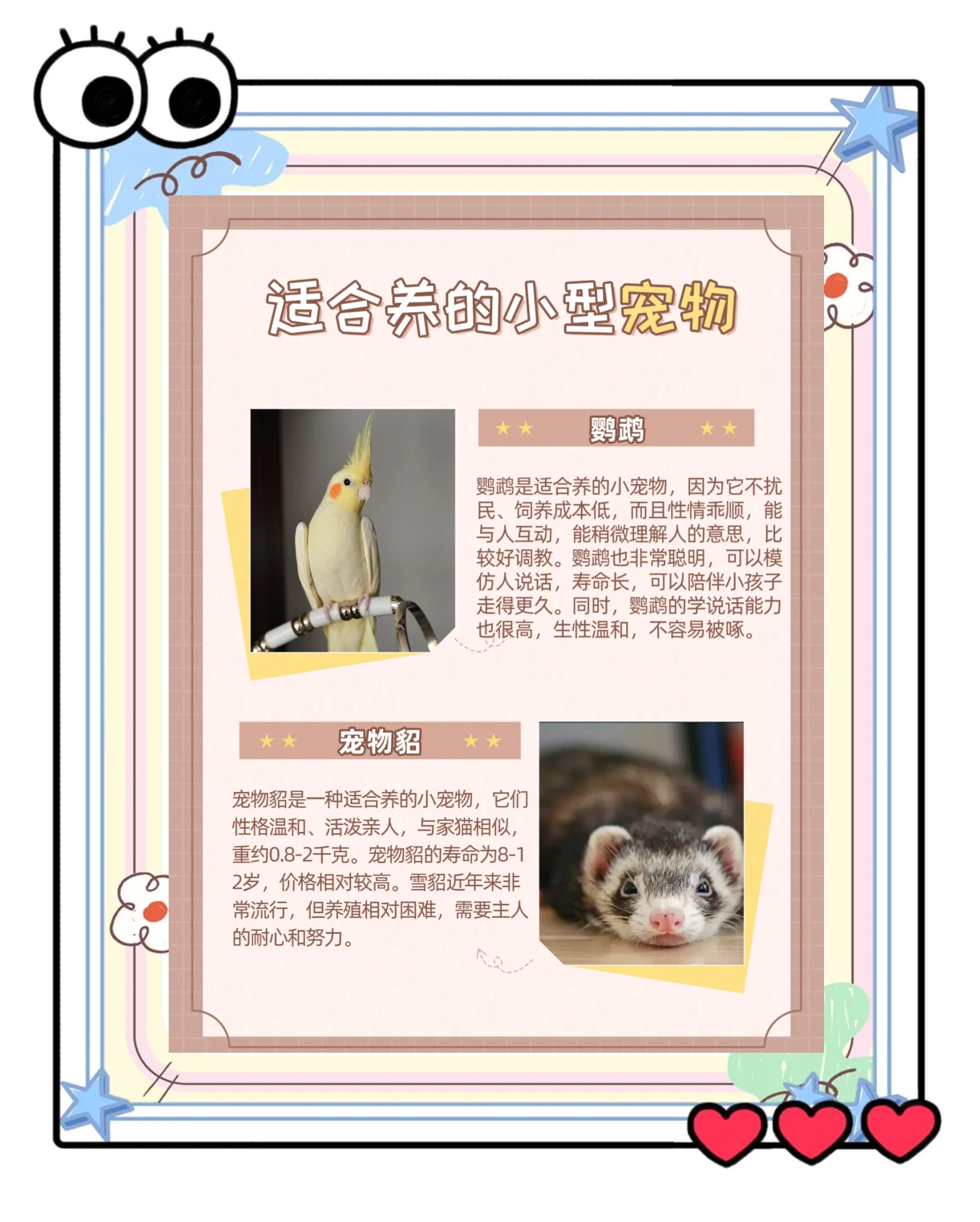 可以认主的小型宠物,可以认主的小型宠物有哪些