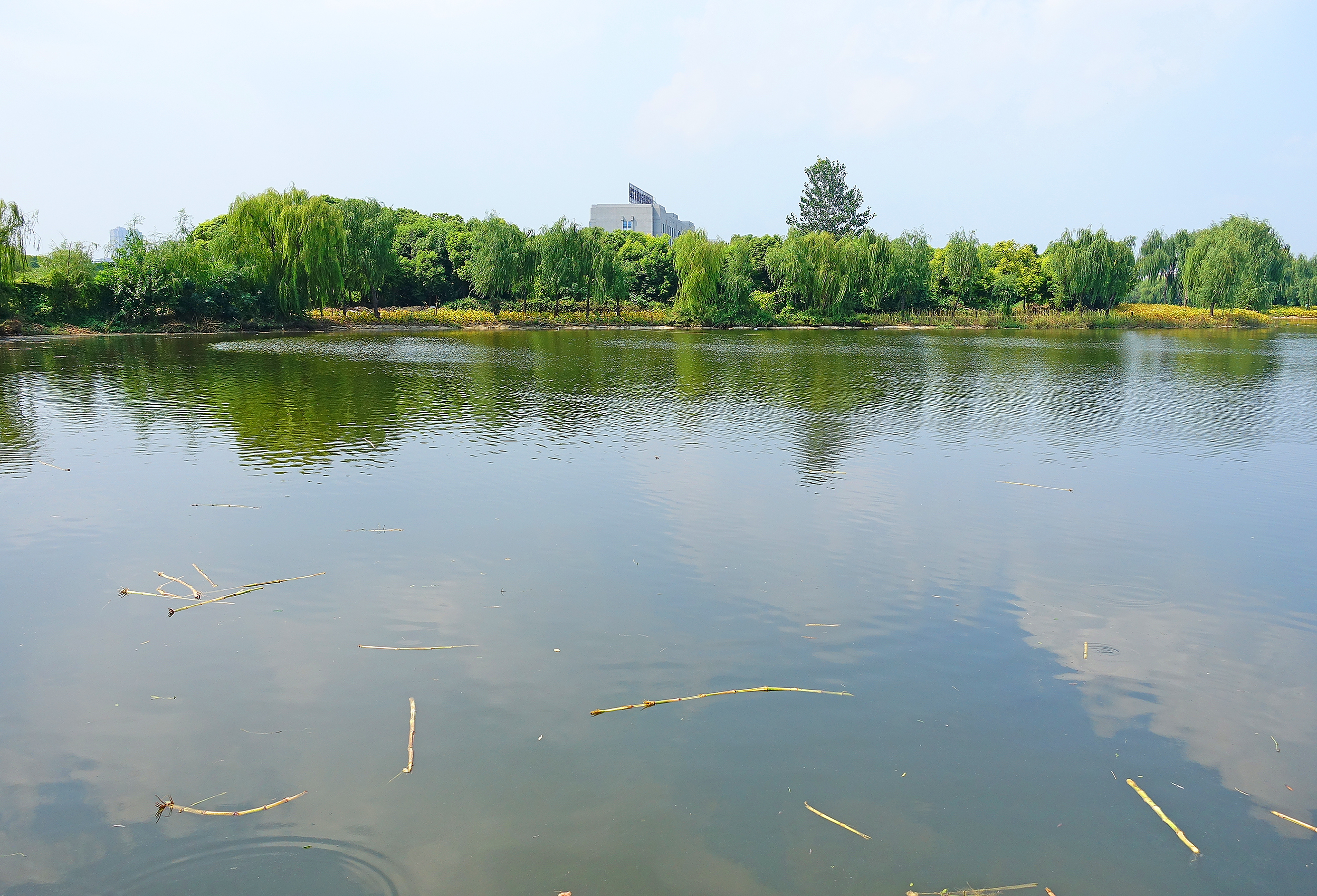 龙湖公园,龙湖公园玖序