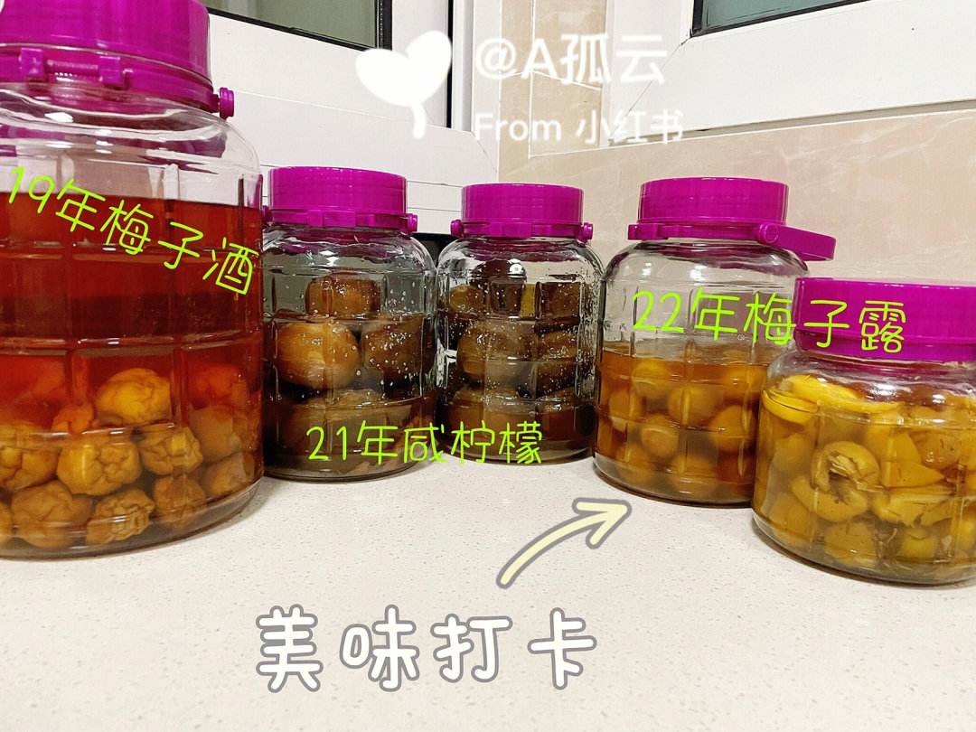 梅子怎么腌制,梅子怎么腌制好吃