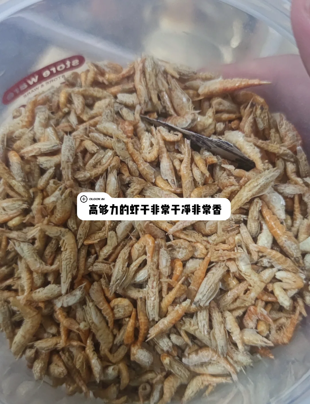 墨龟怎么养,墨龟怎么养,吃什么,要放多少水合适