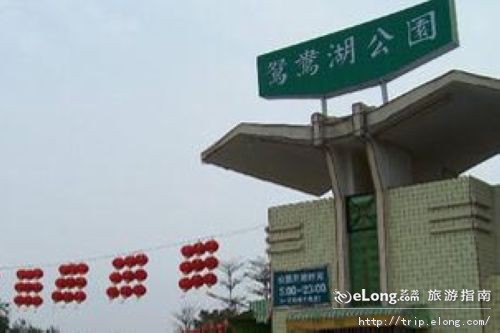 鸳鸯湖公园,鸳鸯湖公园作文