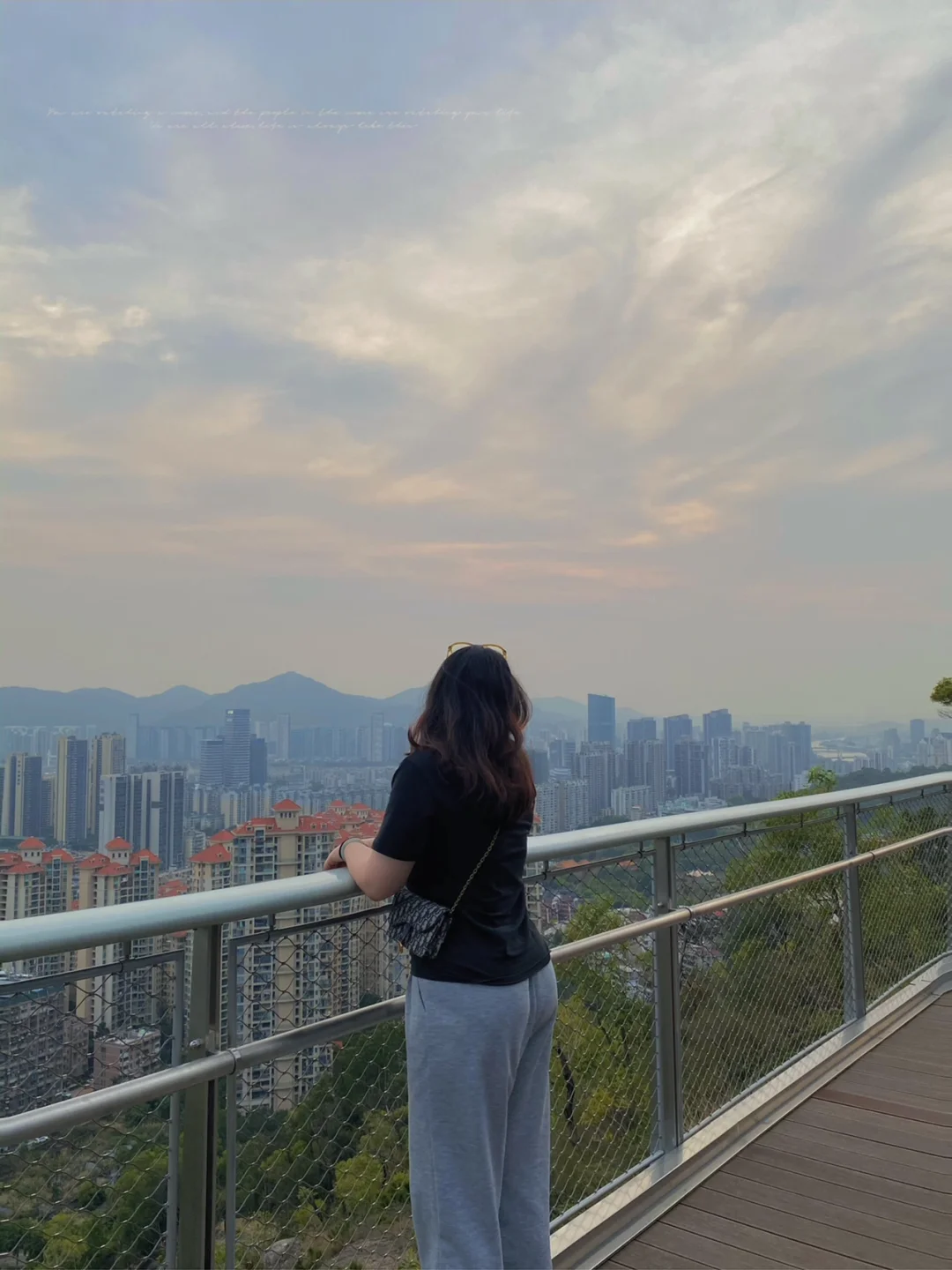 板障山森林公园,板障山森林公园多高