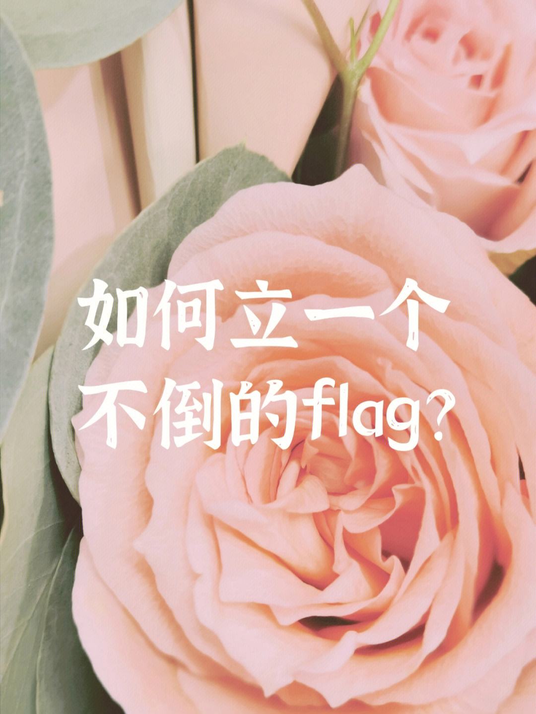 立flag是什么意思,立flag是什么意思中文翻译