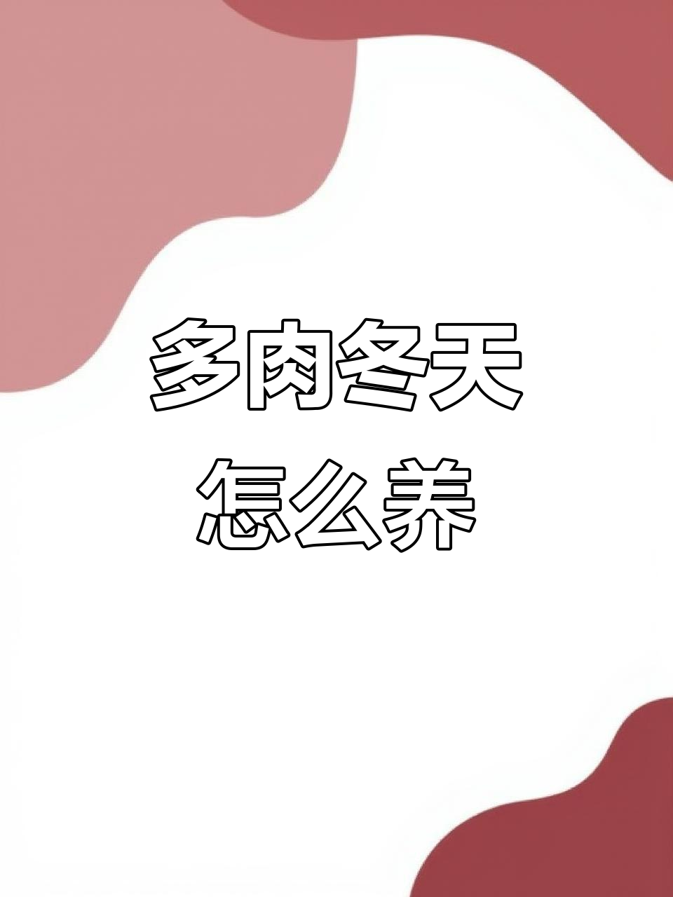 多肉冬天怎么养,多肉冬天怎么养活
