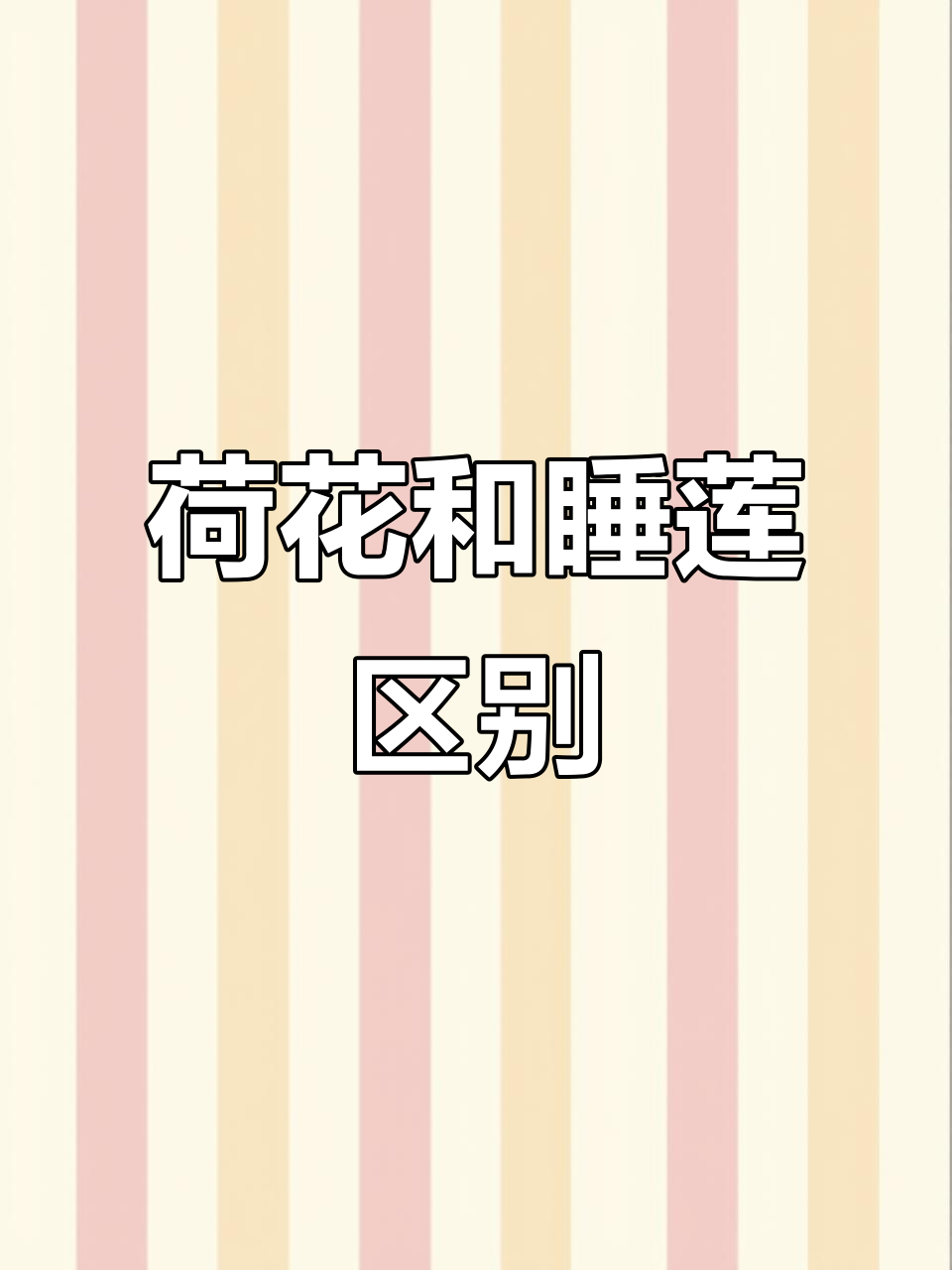 睡莲和荷花的区别,睡莲和荷花的区别有哪些