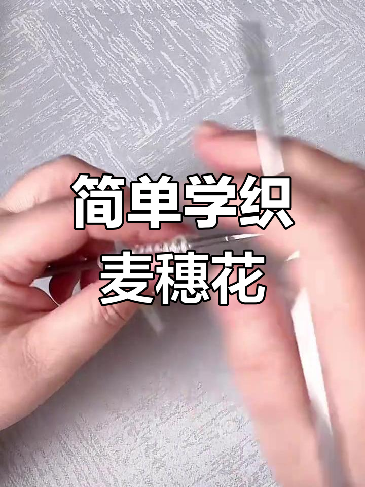 麦穗辫子编法步骤图解,麦穗辫的编法