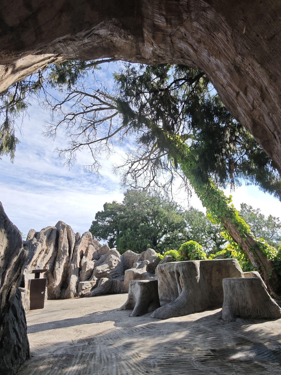 广元旅游景点大全,广元旅游景点大全免费