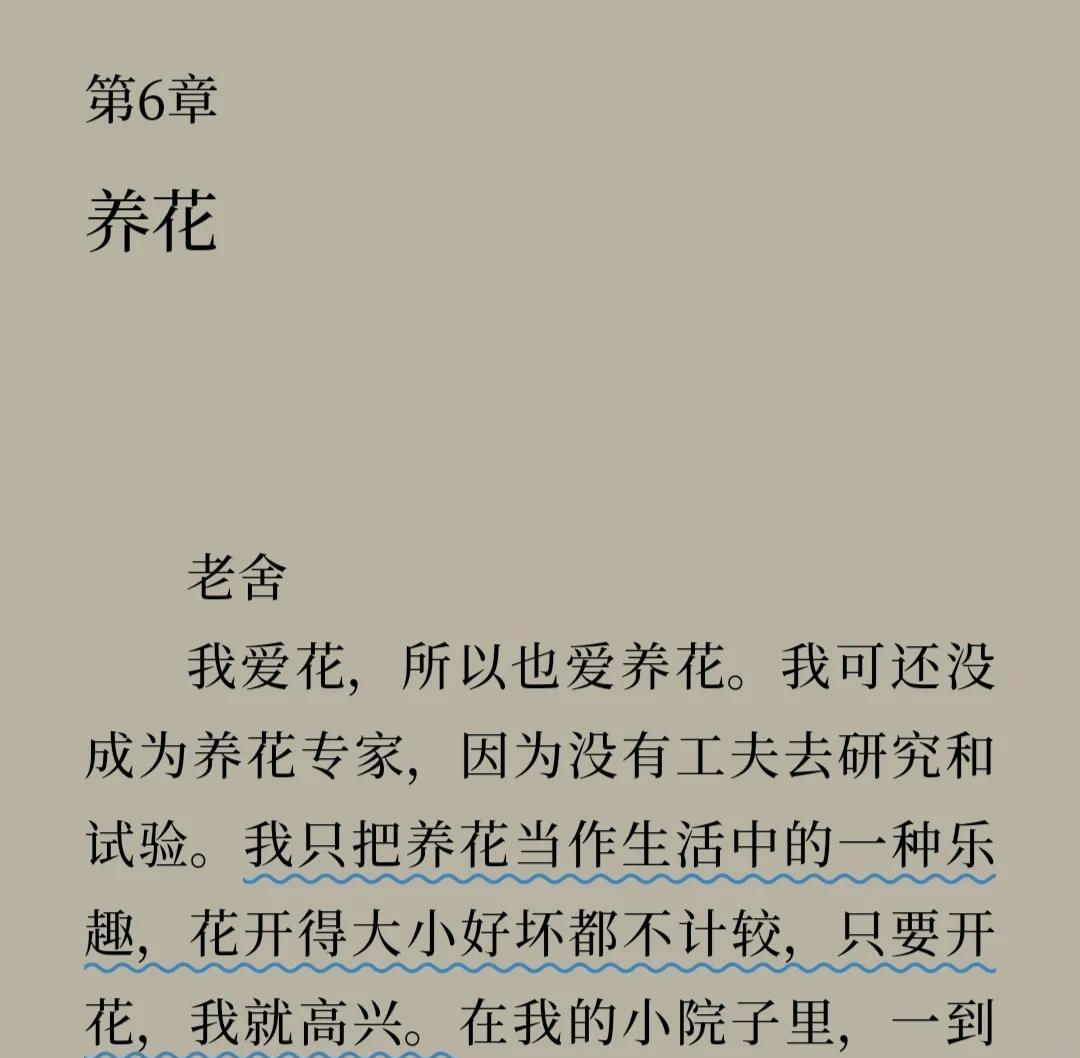 养花的好处,花椒水养花的好处