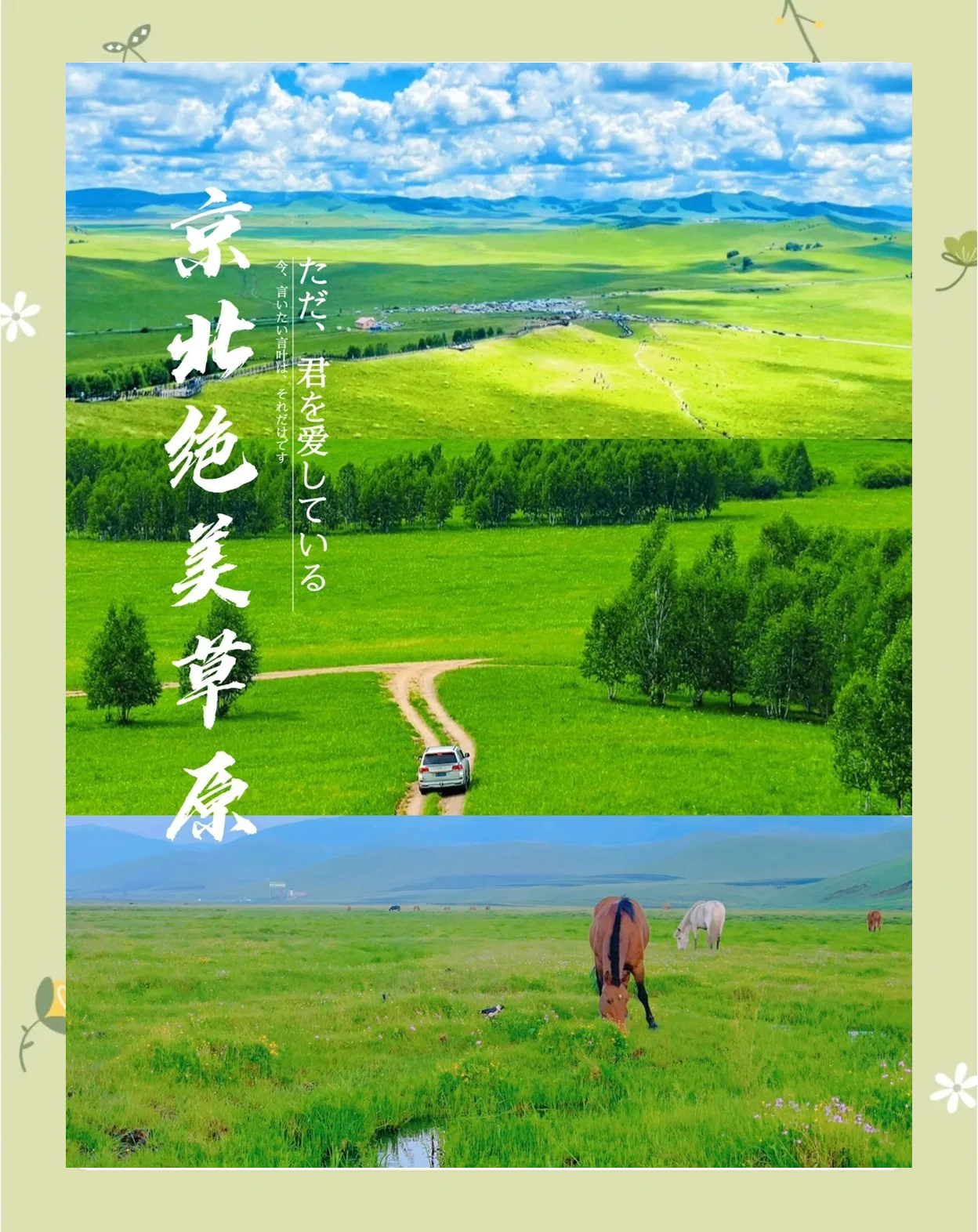 丰宁坝上草原旅游攻略,丰宁坝上草原旅游攻略一日游