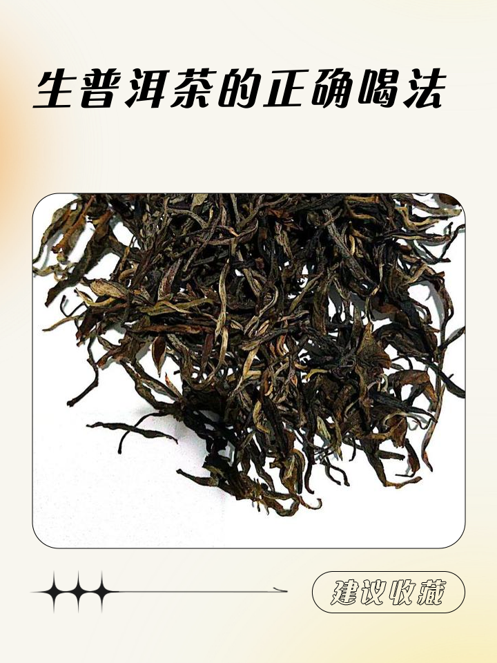 生普洱茶,生普洱茶是凉性还是热性