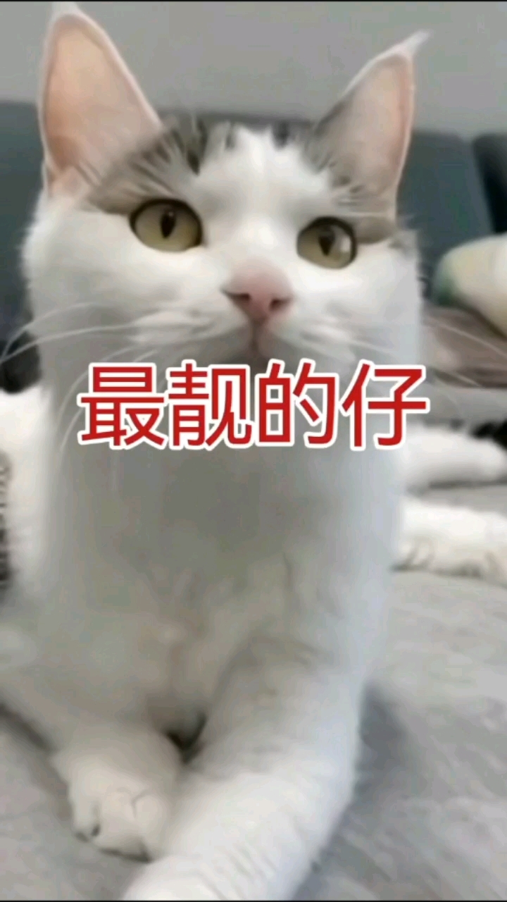 这条街最靓的仔啥梗,这条街最靓的仔是哪里方言