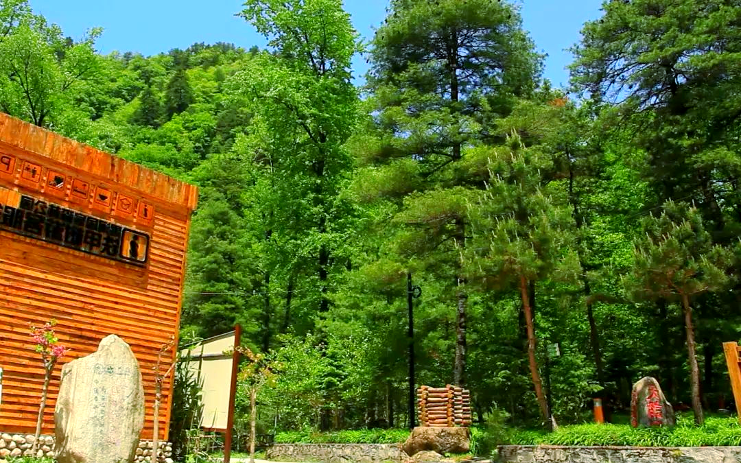 陕西黑河森林公园,陕西黑河森林公园好玩吗
