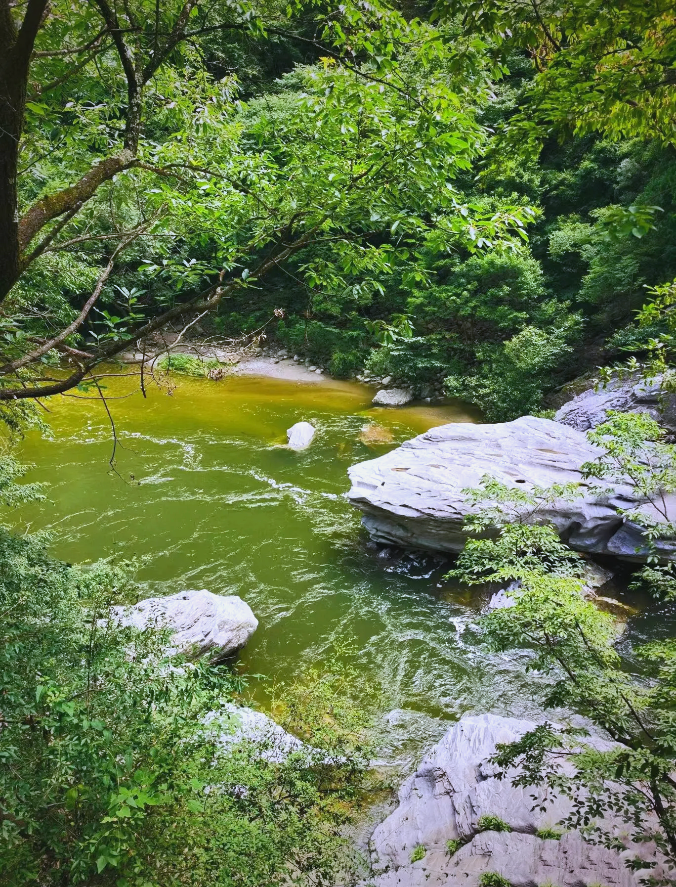 陕西黑河森林公园,陕西黑河森林公园好玩吗
