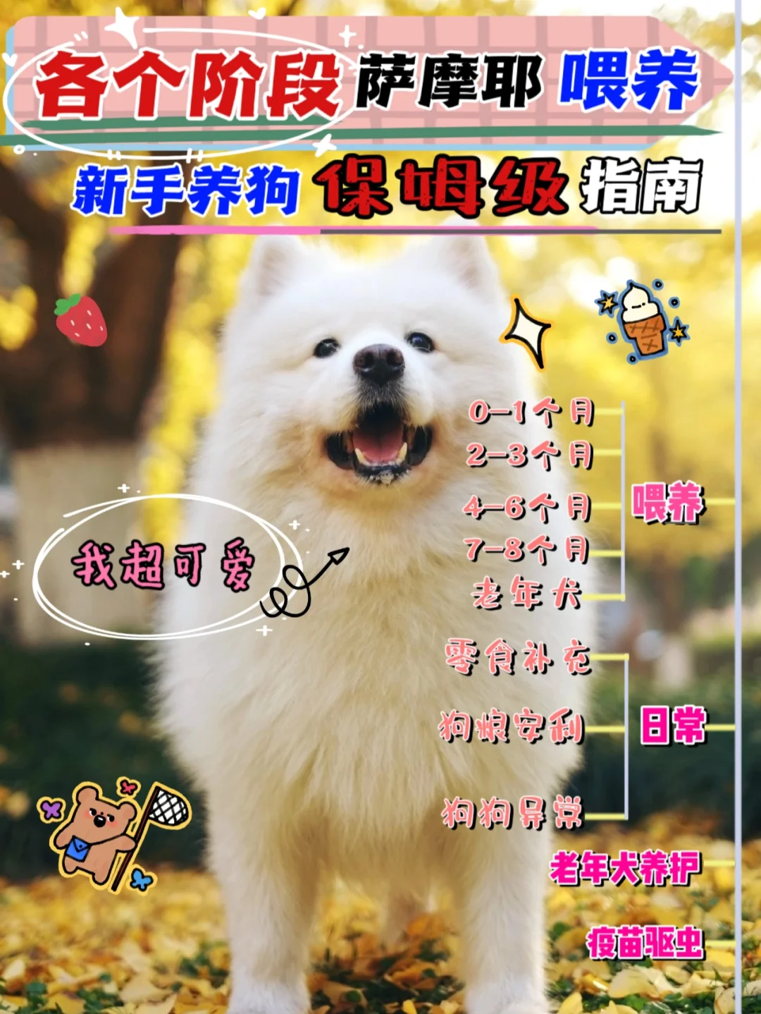 萨摩耶怎么养,萨摩耶怎么养毛发会越来越茂盛