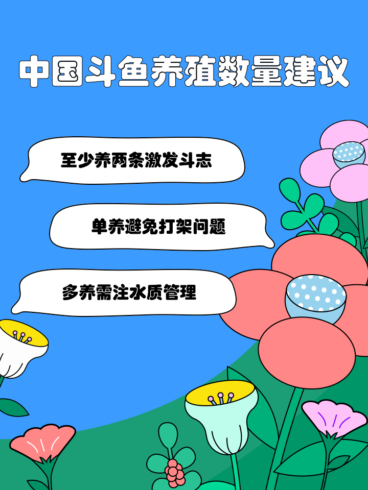 斗鱼401是什么意思,斗鱼418094是干嘛的