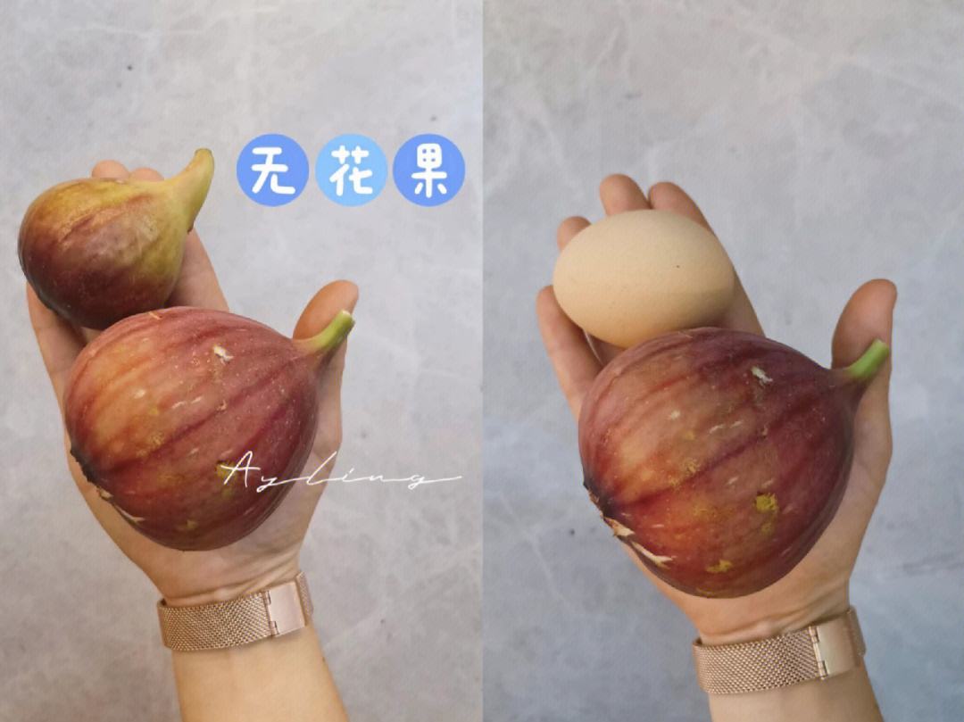 鲜无花果怎么吃,鲜无花果怎么吃剥皮吗
