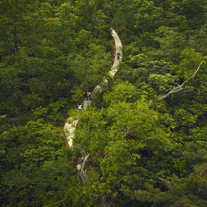 湛江森林公园,湛江森林公园景点介绍