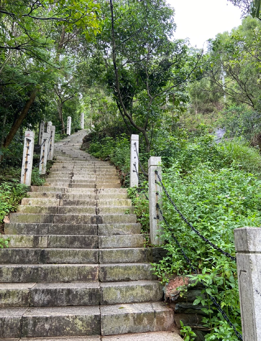 深圳大南山公园,深圳大南山公园景点介绍