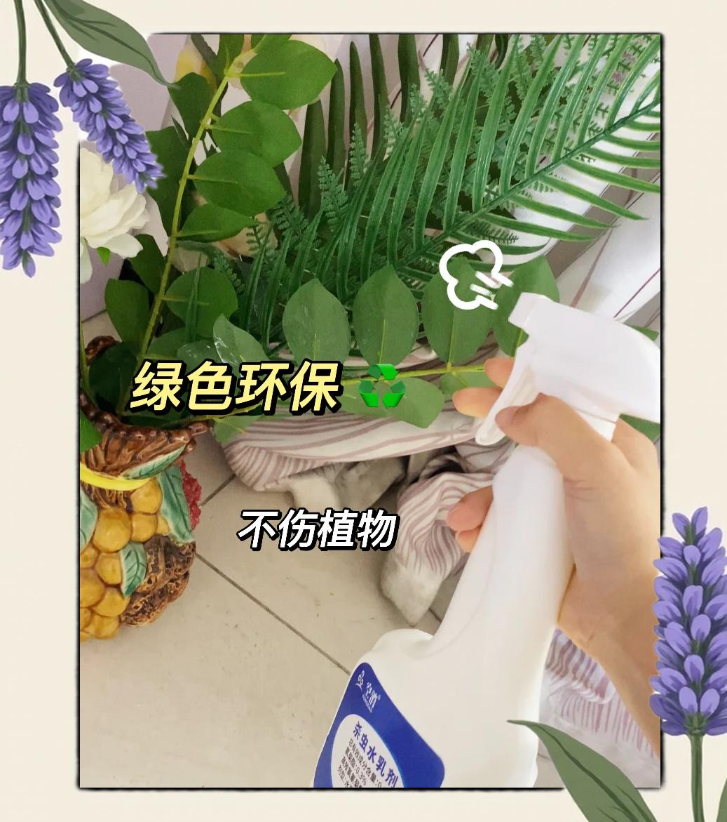 蝇子怎么消灭,鹅圈里的蝇子怎么消灭