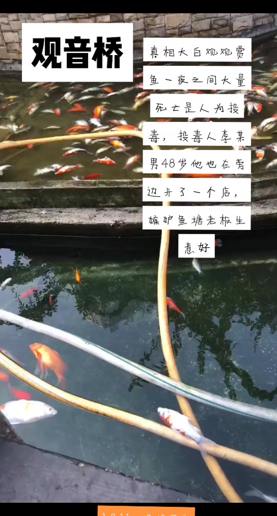 男的说养鱼塘什么意思,女生说男生养鱼塘啥意思