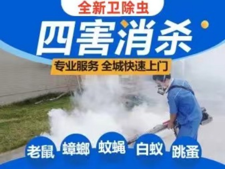 怎样灭蚊子最有效偏方,怎样灭蚊子最有效偏方视频