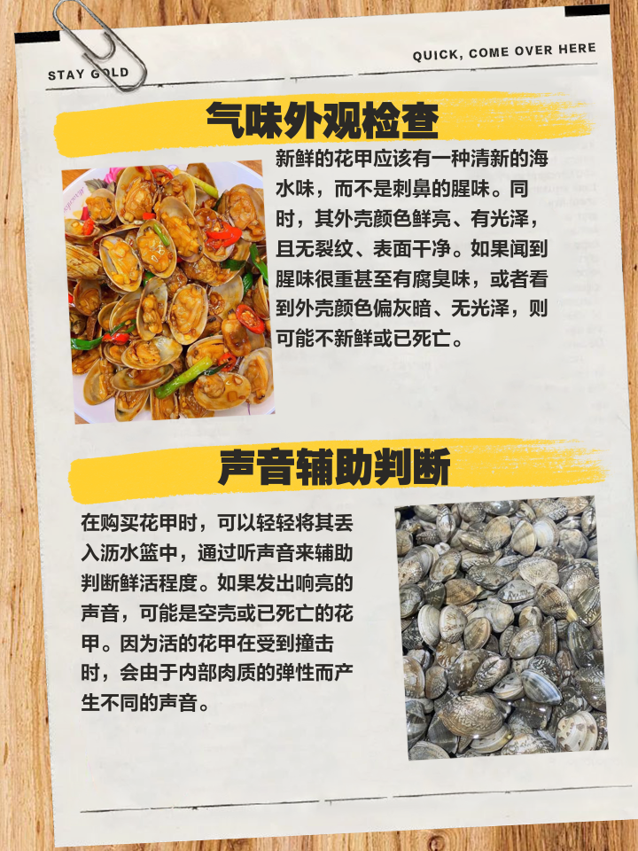 花甲怎么处理,花甲怎么处理好吃又干净
