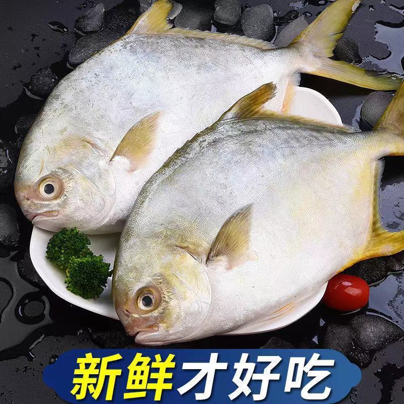 海昌鱼,海昌鱼的营养价值及功效