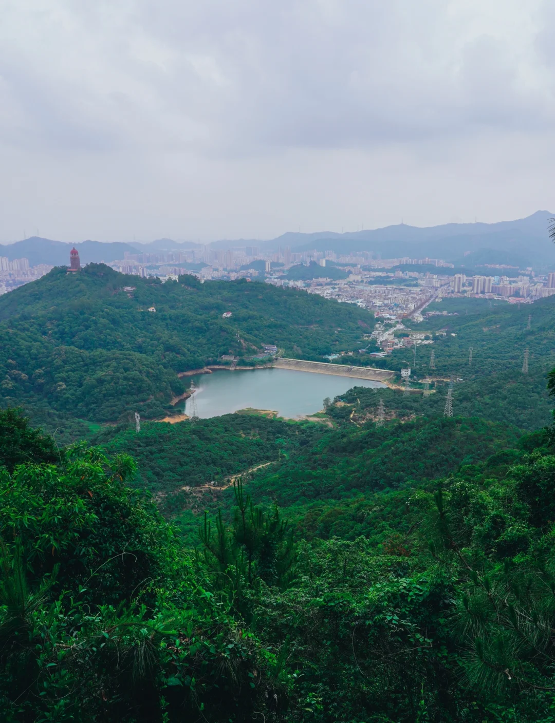 东莞观音山森林公园,东莞观音山森林公园海拔高度