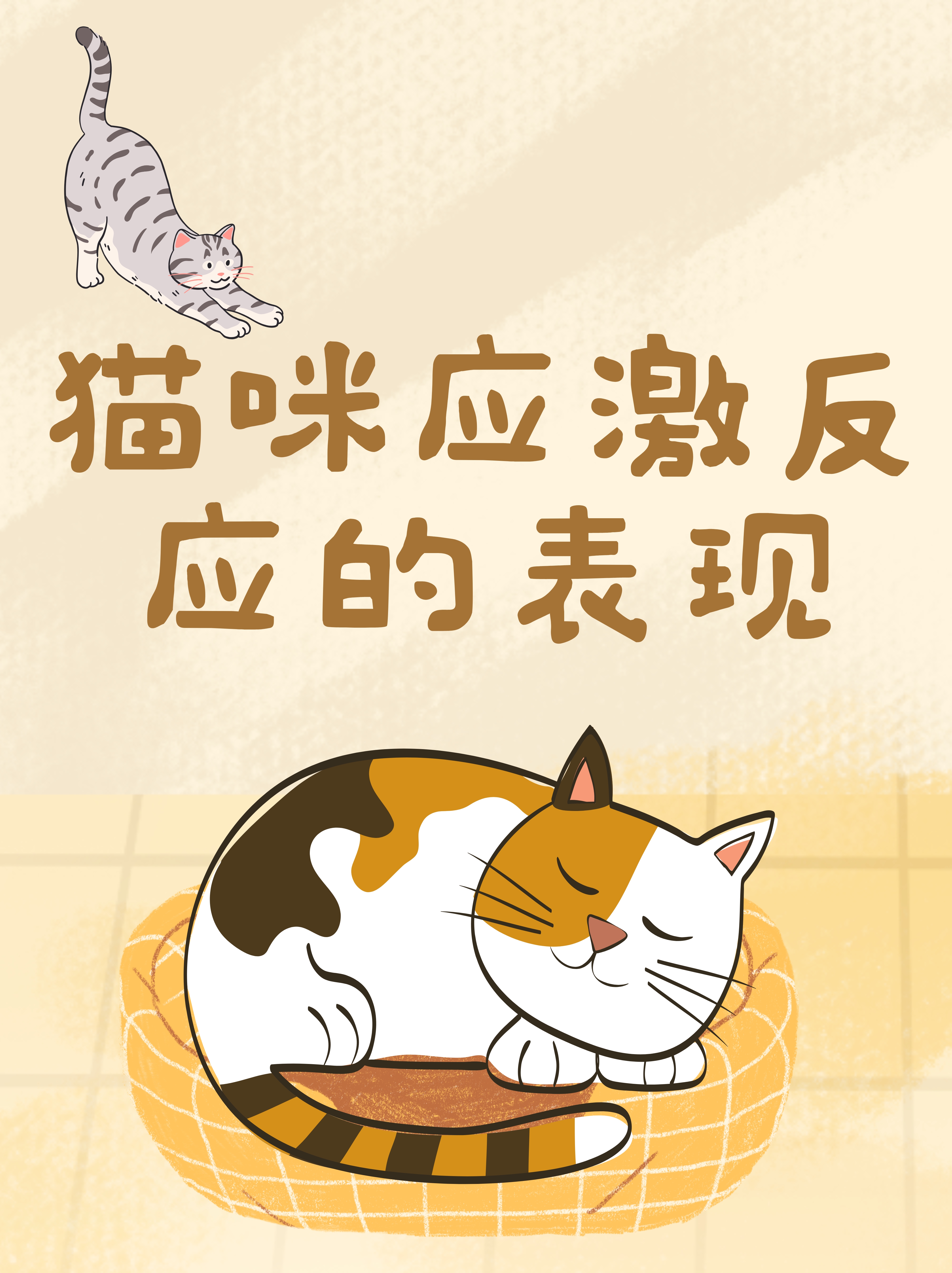 猫的反应速度有多快,猫的反应速度有多快超燃视频