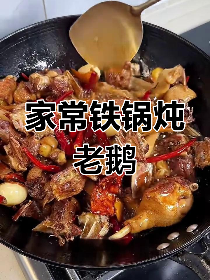 家常炖鹅肉的做法大全,家常炖鹅肉的做法大全下厨房