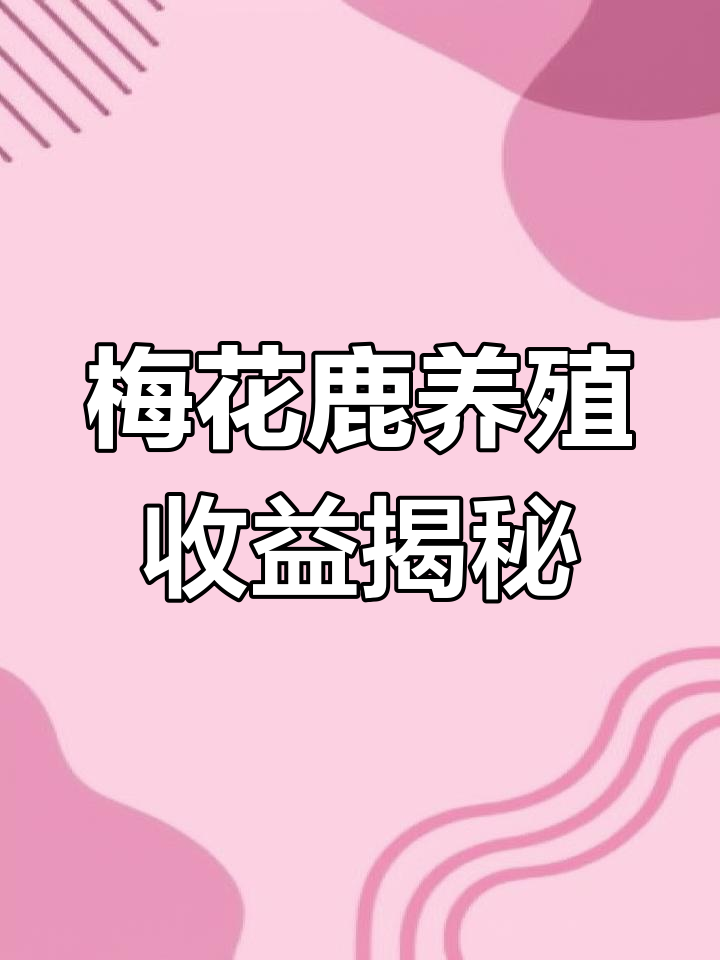 养殖50只梅花鹿的成本,养殖梅花鹿的真实利润是多少