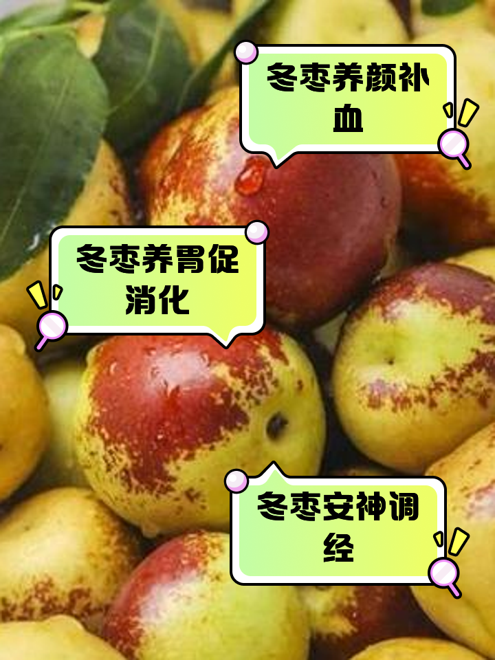 冬枣什么时候成熟,露天冬枣什么时候成熟