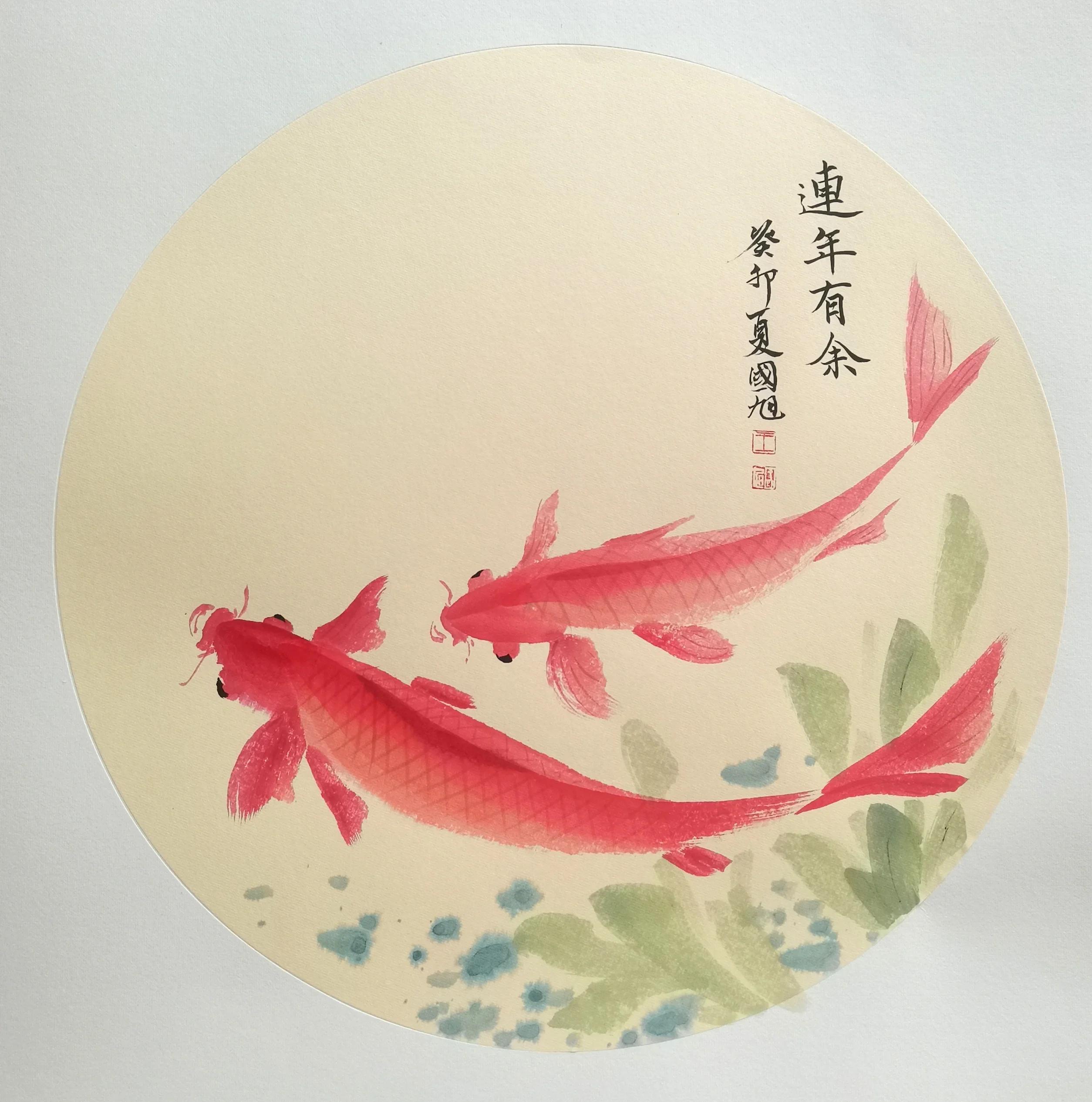 锦鲤什么意思,锦鲤什么意思和寓意着什么