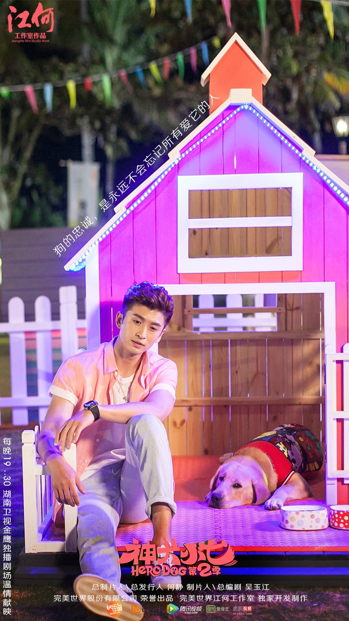神犬小七现实还活吗,神犬小七现实还活吗视频