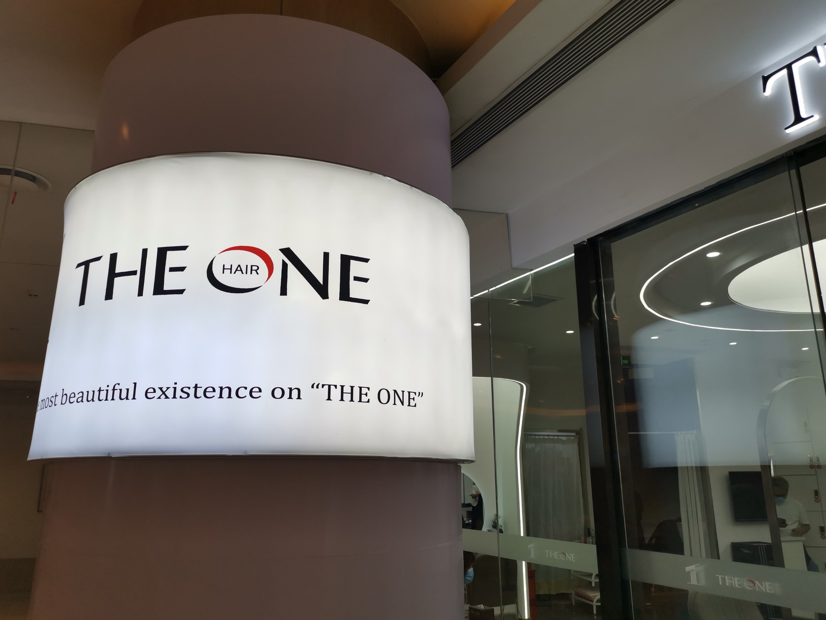 theone什么意思的简单介绍