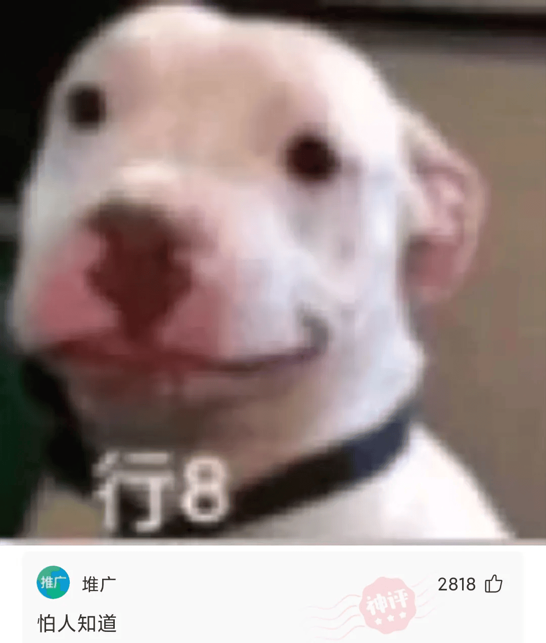 包含段友何去何从的词条