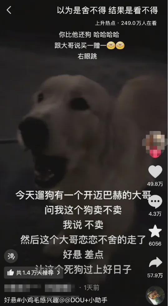 包含段友何去何从的词条