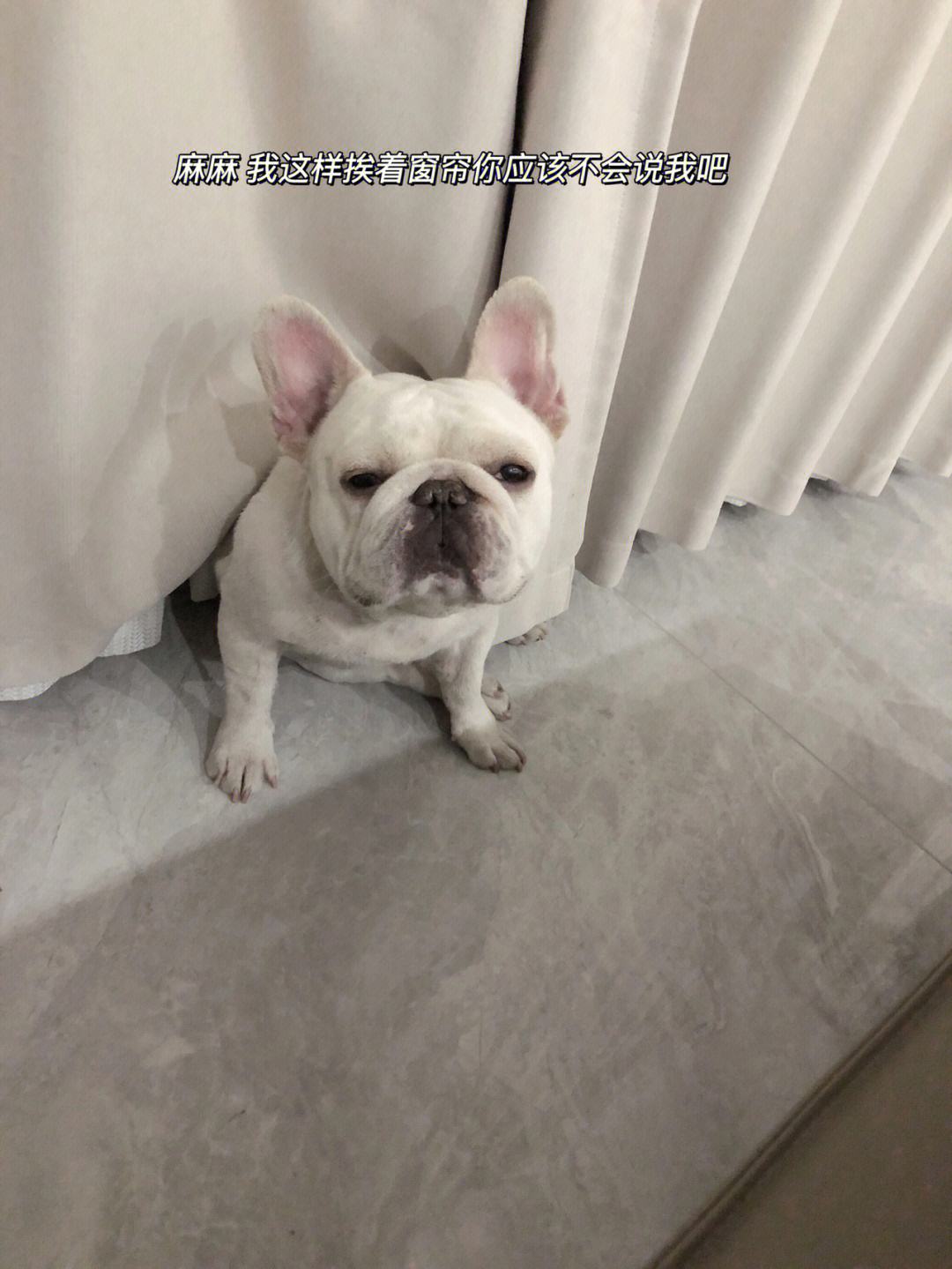 王八念经,不听不听王八唸经下一句